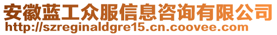 安徽藍工眾服信息咨詢有限公司