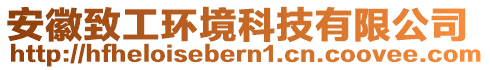 安徽致工環(huán)境科技有限公司