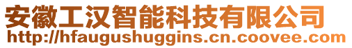 安徽工漢智能科技有限公司