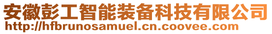 安徽彭工智能裝備科技有限公司