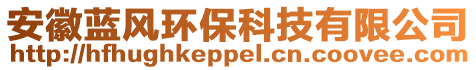 安徽藍風環(huán)保科技有限公司