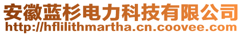 安徽藍(lán)杉電力科技有限公司