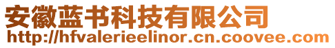 安徽藍(lán)書科技有限公司