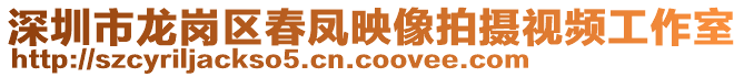 深圳市龍崗區(qū)春鳳映像拍攝視頻工作室