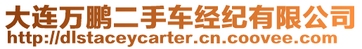 大連萬(wàn)鵬二手車(chē)經(jīng)紀(jì)有限公司