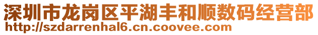 深圳市龍崗區(qū)平湖豐和順數(shù)碼經(jīng)營部