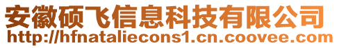 安徽硕飞信息科技有限公司