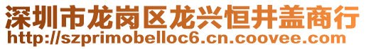 深圳市龍崗區(qū)龍興恒井蓋商行