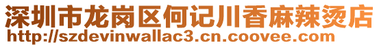 深圳市龍崗區(qū)何記川香麻辣燙店