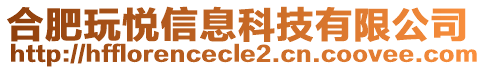 合肥玩悅信息科技有限公司