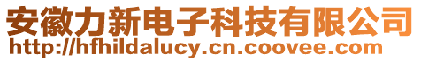 安徽力新电子科技有限公司