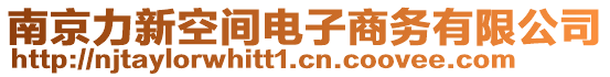 南京力新空間電子商務(wù)有限公司