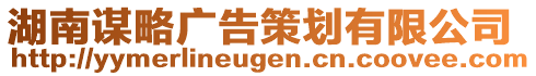 湖南謀略廣告策劃有限公司