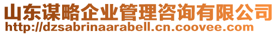 山東謀略企業(yè)管理咨詢有限公司