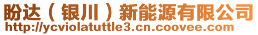 盼達(dá)（銀川）新能源有限公司