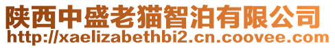 陕西中盛老猫智泊有限公司