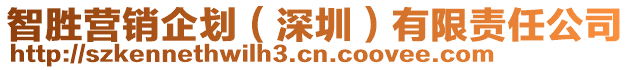 智勝營銷企劃（深圳）有限責(zé)任公司