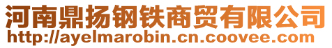 河南鼎揚(yáng)鋼鐵商貿(mào)有限公司