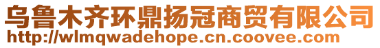 烏魯木齊環(huán)鼎揚冠商貿有限公司