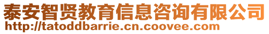 泰安智賢教育信息咨詢有限公司