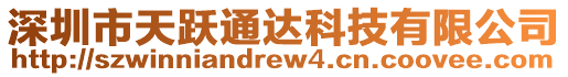 深圳市天躍通達科技有限公司