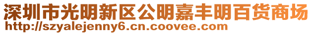 深圳市光明新區(qū)公明嘉豐明百貨商場