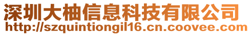 深圳大柚信息科技有限公司