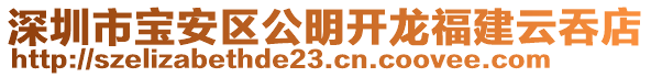 深圳市寶安區(qū)公明開龍福建云吞店