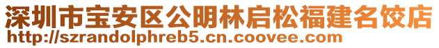 深圳市宝安区公明林启松福建名饺店