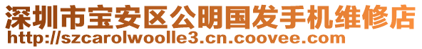 深圳市寶安區(qū)公明國發(fā)手機(jī)維修店