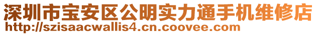 深圳市寶安區(qū)公明實(shí)力通手機(jī)維修店