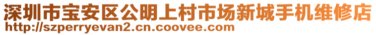 深圳市寶安區(qū)公明上村市場新城手機維修店