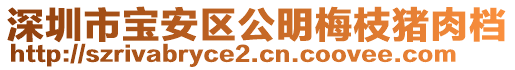 深圳市寶安區(qū)公明梅枝豬肉檔