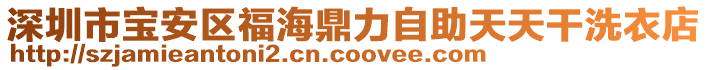 深圳市寶安區(qū)福海鼎力自助天天干洗衣店