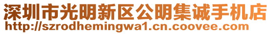 深圳市光明新區(qū)公明集誠手機店