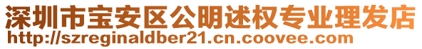 深圳市寶安區(qū)公明述權(quán)專業(yè)理發(fā)店