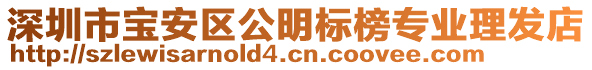 深圳市寶安區(qū)公明標(biāo)榜專業(yè)理發(fā)店