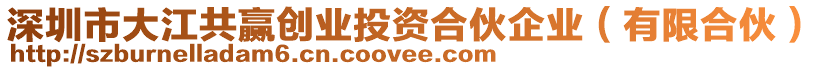 深圳市大江共贏創(chuàng)業(yè)投資合伙企業(yè)（有限合伙）