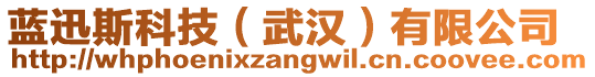 藍(lán)迅斯科技（武漢）有限公司