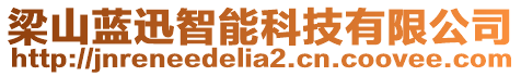 梁山藍(lán)迅智能科技有限公司