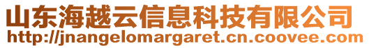 山東海越云信息科技有限公司