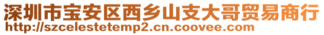 深圳市寶安區(qū)西鄉(xiāng)山支大哥貿(mào)易商行