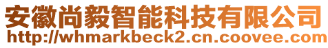 安徽尚毅智能科技有限公司