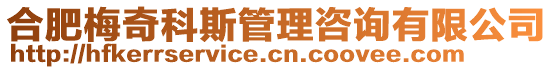 合肥梅奇科斯管理咨詢有限公司