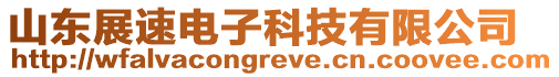 山東展速電子科技有限公司