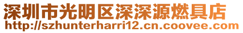 深圳市光明區(qū)深深源燃具店