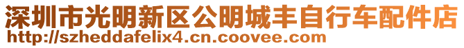 深圳市光明新區(qū)公明城豐自行車配件店