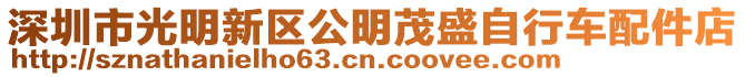 深圳市光明新區(qū)公明茂盛自行車配件店