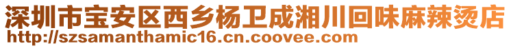 深圳市寶安區(qū)西鄉(xiāng)楊衛(wèi)成湘川回味麻辣燙店