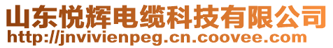 山東悅輝電纜科技有限公司